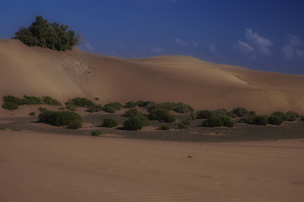 Красивый кунилингус в песках пустыни