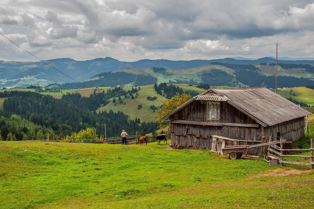 Домик в карпатах фото