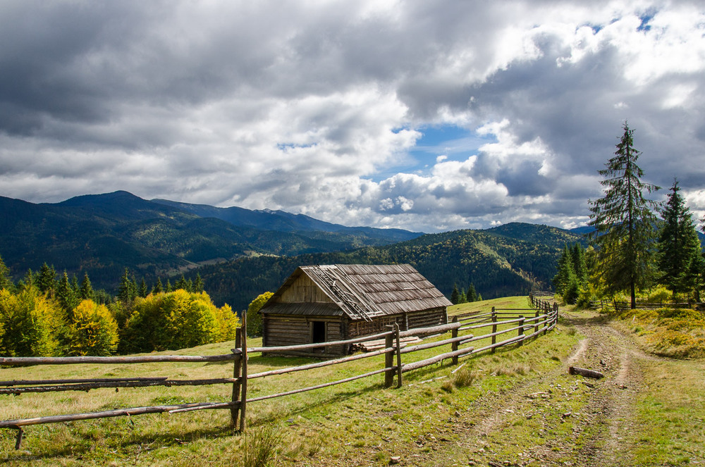 Домик в карпатах фото