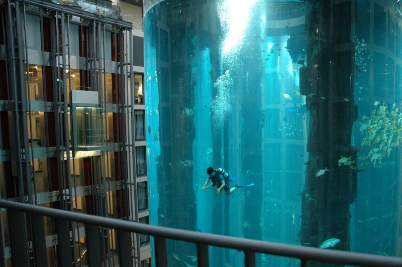6. Гигантский аквариум на снимке является частью шахты лифта. В аквариуме живет более 1500 рыб. Источник: neogaf.
