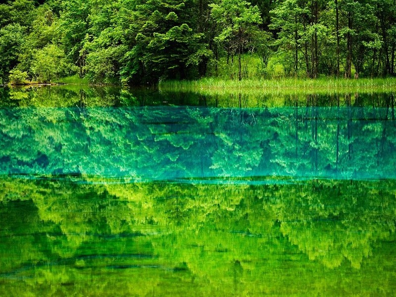 10 Озеро Пяти цветов, Китай. Автор - Майкл Ямашита. На снимке видно как отражаются небо и земля в Озере Пяти цветов, которое имеет специфический цвет из-за минеральных солей и водных растений.