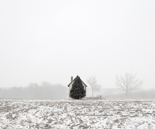 Дом и дерево (Западная Венгрия, 2011).