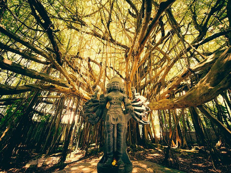 3 "Величественный солнечный свет". Индуистский монастырь Кауаи (Гавайские острова, США). Автор: Andrew Hara.