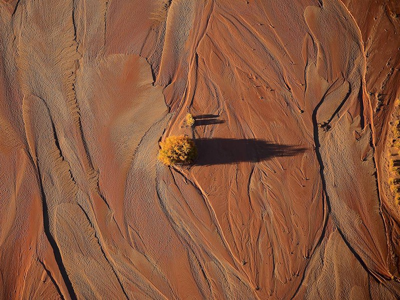 16 "Пробный прогон". "Окаменелый лес»— один из национальных парков США (штат Аризона). Автор: Aya Okawa