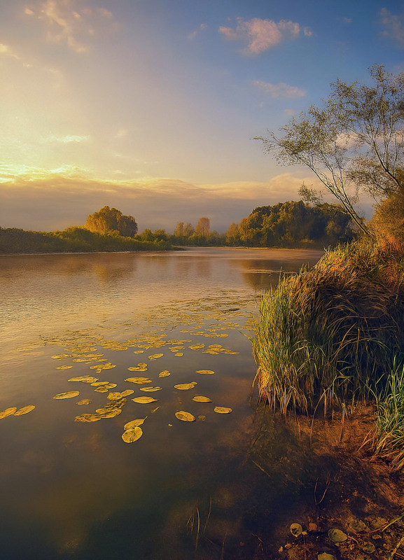 Озеро Солонецьке в променях вечірнього сонця.Автор: Зоя та Олександр