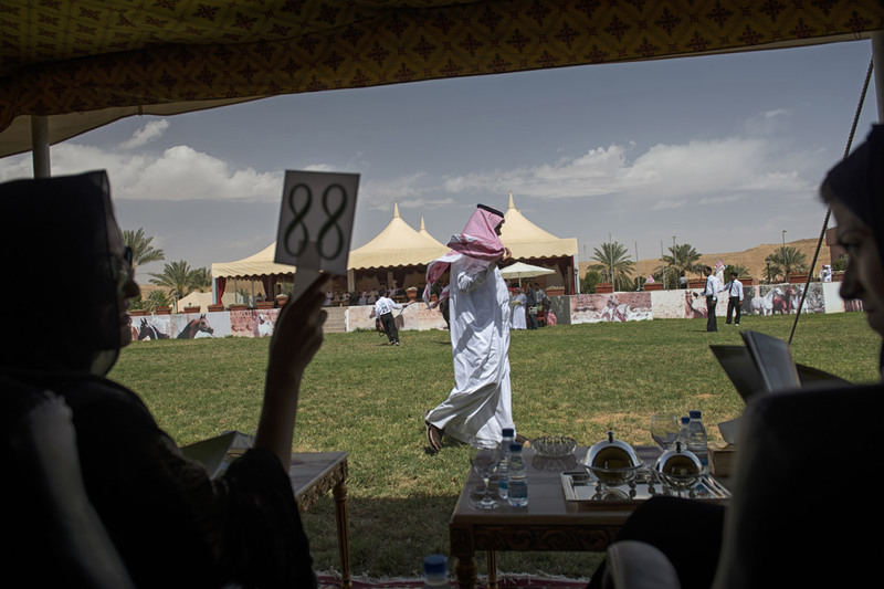 14 Ставки на арабских скакунов на аукционе за городом Эр-Рияд.