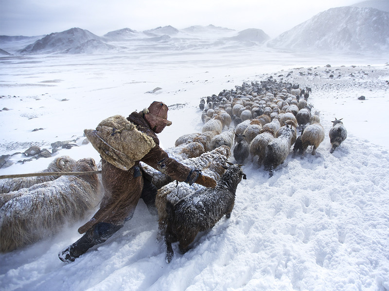 18. Кочевники. Монголия. Автор - Tariq Sawyer.
