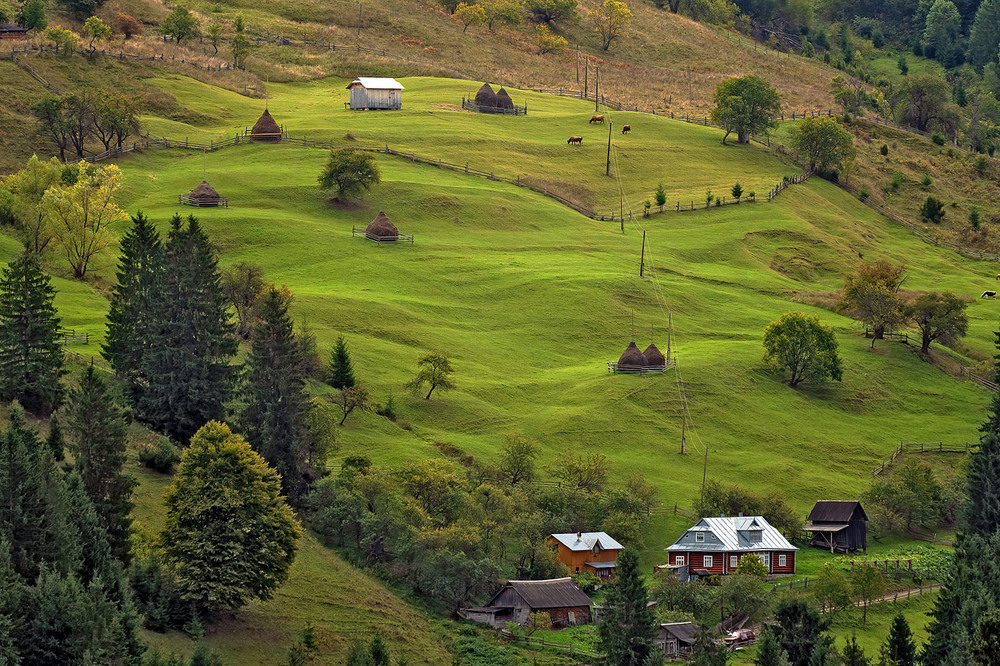ВерховинаАвтор: Igor Chervonenko