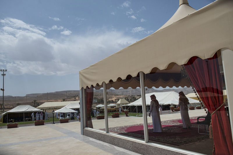 16 Аукцион арабских скакунов в клубе за пределами Эр-Рияда.