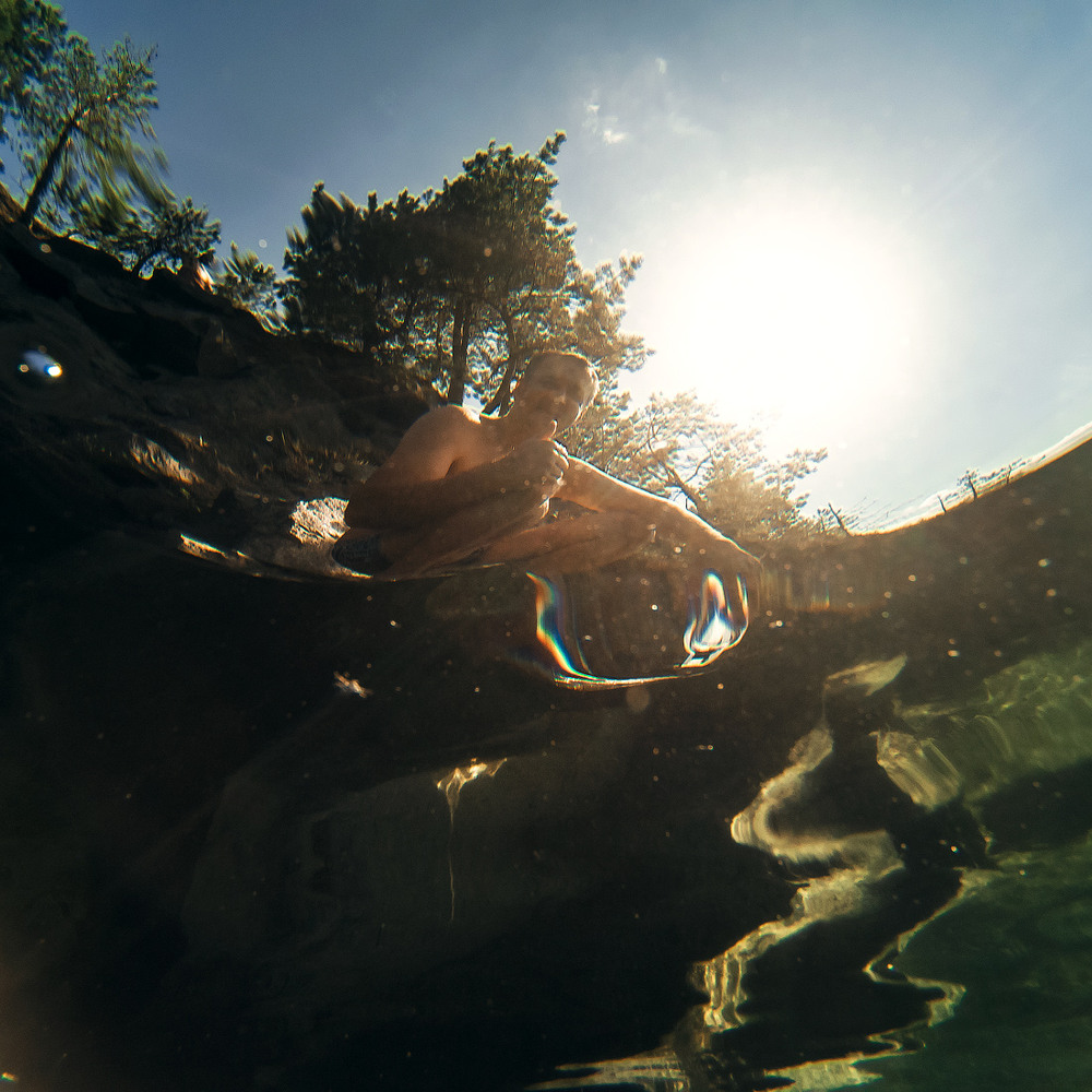 Underwater forest