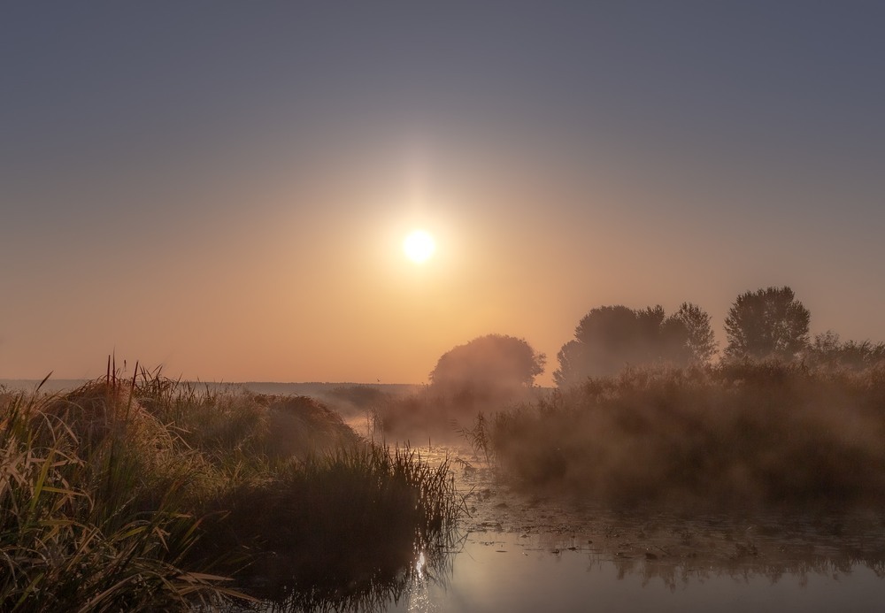 Зійшло сонце - новий день почався.... Author: Ігор Солодовніков
