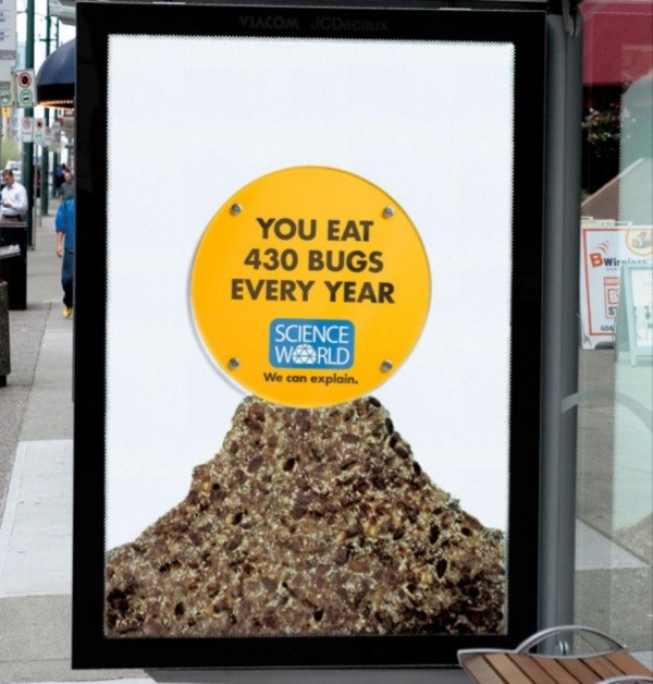 21 Каждый год вы съедаете 430 жуков. Мы можем объяснить.