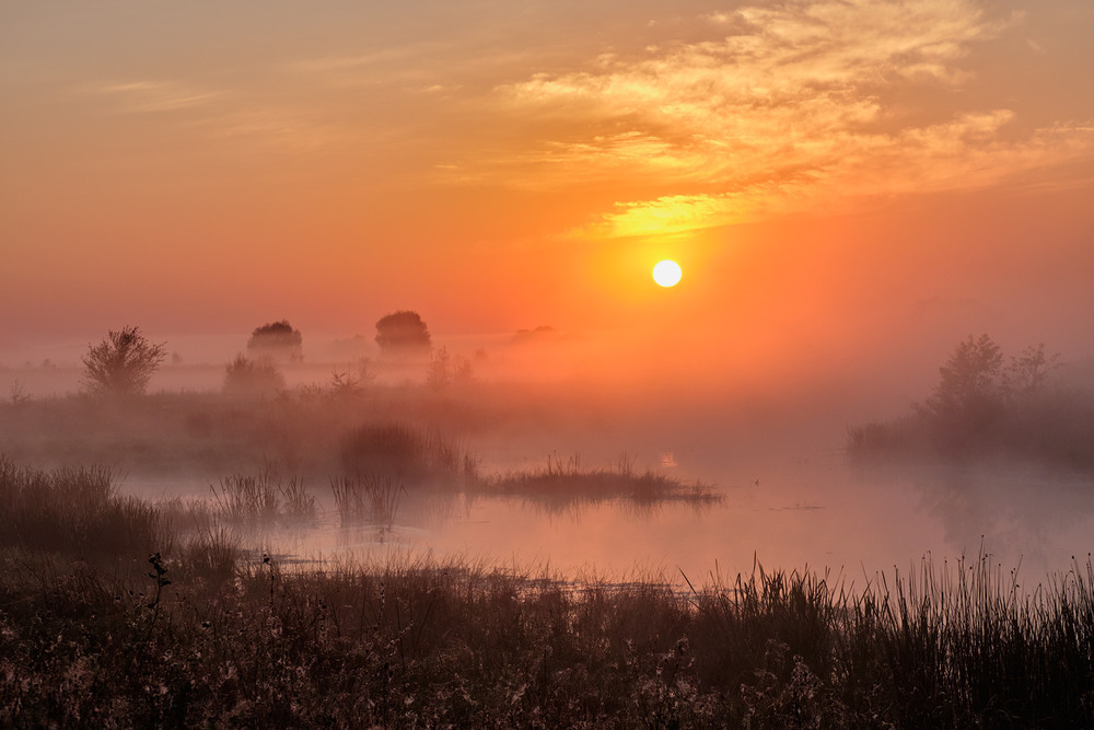 Ранкові тумани Автор: Николай , Мороз