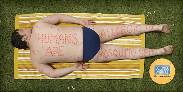29 У людей аллергия на укусы насекомых. Мы можем объяснить.