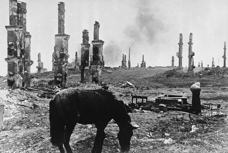 10 Лошадь среди руин, Сталинград, декабрь 1942 года.