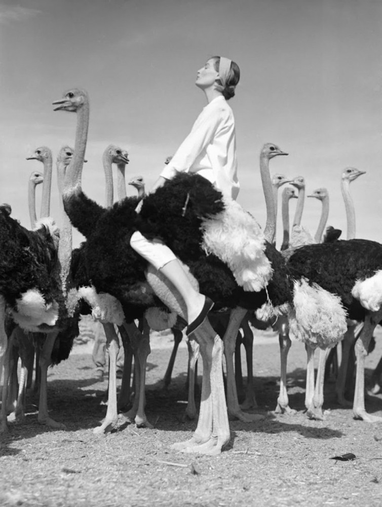 Норман Паркинсон и британская fashion-фотография