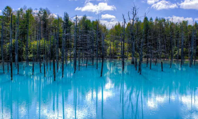 6 Голубой пруд, Хоккайдо, Япония. Источник: Miki Asai