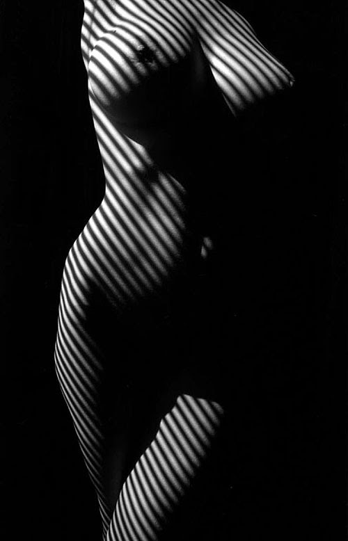 Lucien Clergue "Nude Zebras"