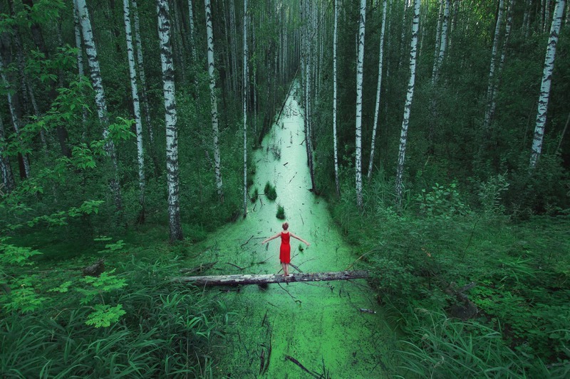 12 В бескрайних лесах, Россия. Источник: Иван Летохин