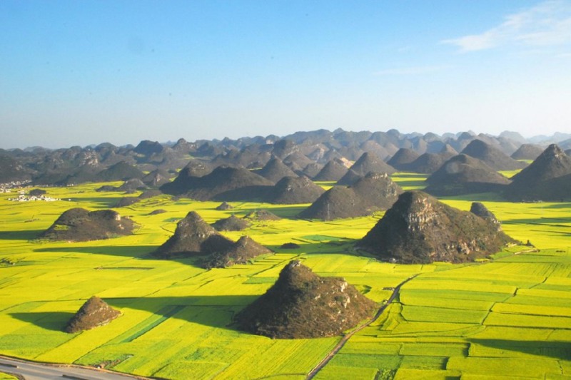 14 Рапсовые поля в Люпинге, Китай. Источник: bbs