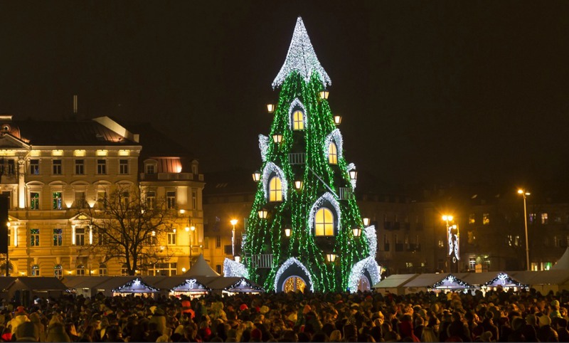 4 Вильнюс, Литва. Национальная елка на Кафедральной площади. Источник: Mindaugas Kulbis