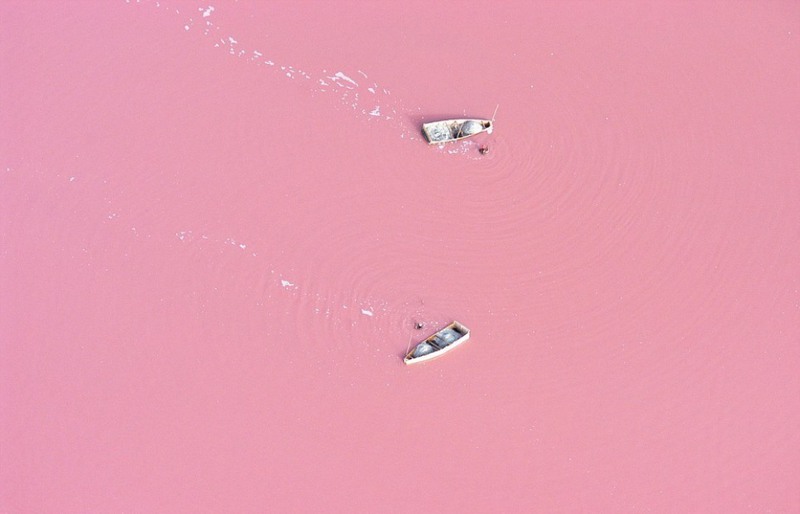 20 Розовое озеро, Сенегал. Источник: bioindustry
