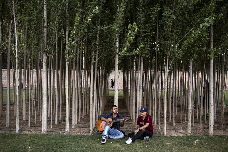4 Молодые люди в парке в Ширазе.