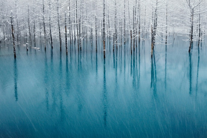 5 Голубой пруд и первый снег в поселке Биэй, остров Хоккайдо. Источник:Kent Shiraishi
