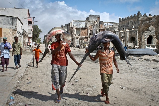 26.10.2012
Сомалийские рыбаки несут улов на рынок, Могадишо. Фото: AP