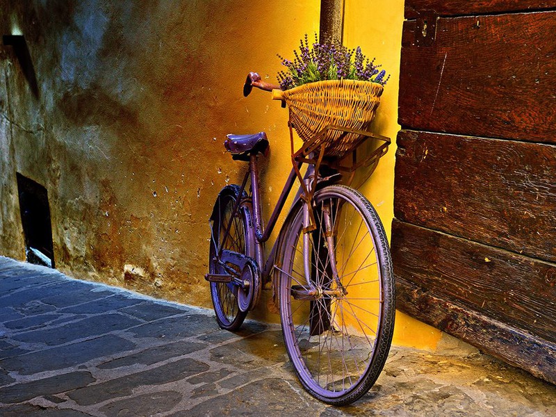 7 Цветочный велосипед в Тоскане. Автор - Jeff Berkes.