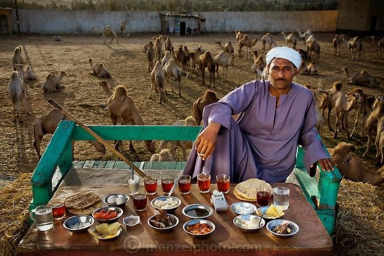 2 На фото Сале Абдул Фадлилли, продавец верблюдов. (Каир, Египет.) Ему 40 лет, рост – 172 см., вес – 74 кг.  Его дневной рацион составляет 3200 ккал.