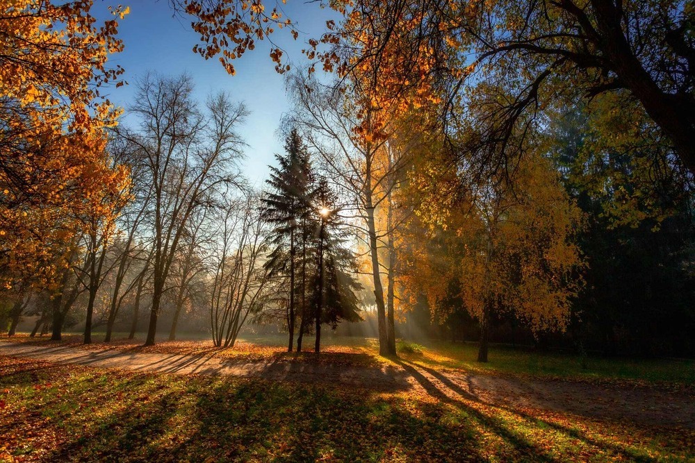 Осіннє світло Author: Ігор Солодовніков