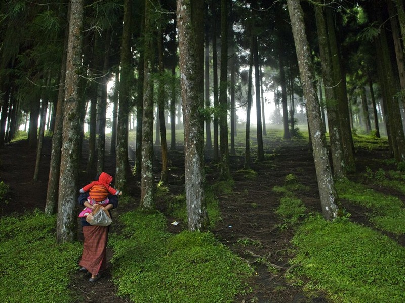 6 Кунзанг Чоден идет со своим ребенком через лес в крошечном буддистском королевстве Бутан, где охрана окружающей среды является одним из «четырех столпов Национального счастья». Гималаи. Автор - Lynsey Addario.