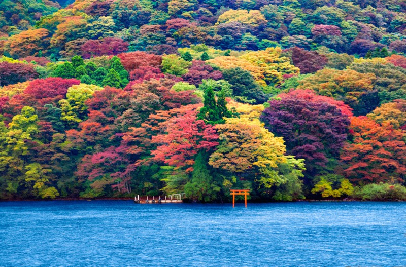 10 Озеро Аши, Хаконе. Источник:pinterest.com
