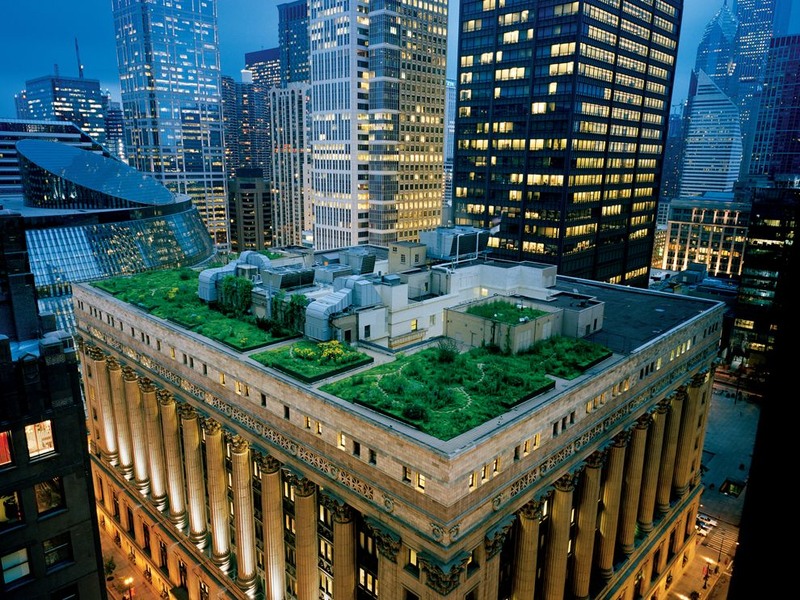 12 Насаждения на крыше мэрии Чикаго. Авторы - Diane Cook and Len Jenshel.