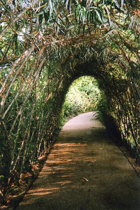 4. «Природный тоннель, или Свет и конец», автор Эллен Ростан