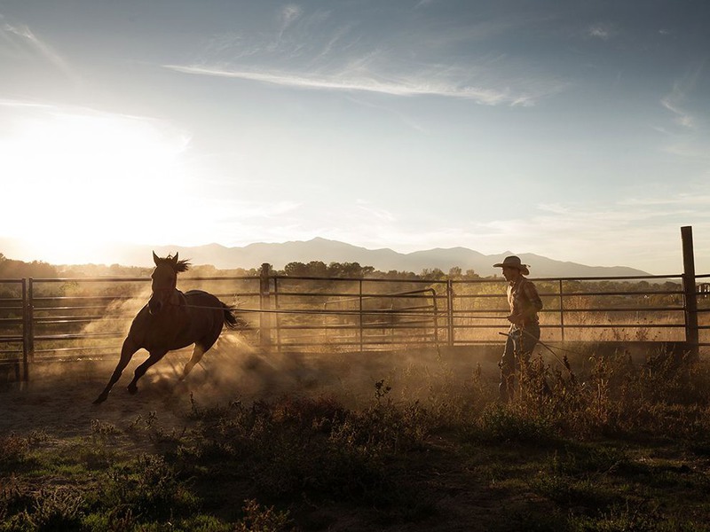 13 "Городской ковбой". Автор - Brice Portolano. Человек дрессирует лошадь на своем ранчо в штате Юта (США).