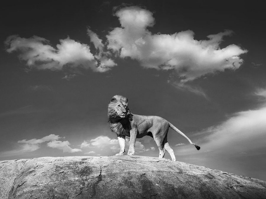 18 "Гордость и власть". Африка. Автор - Bjorn Persson