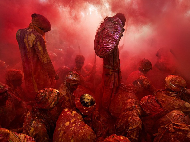 25 "Вишневый цвет". Автор - Tarun Chhabra. Праздник Холи в Индии.