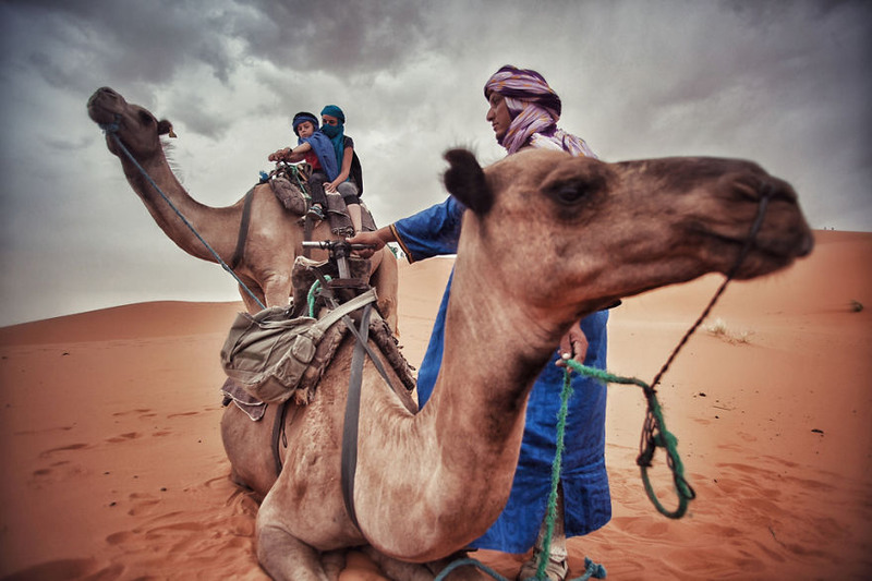 24 Поездка на верблюдах в пустыне Сахара, Мерзуга (Марокко)
