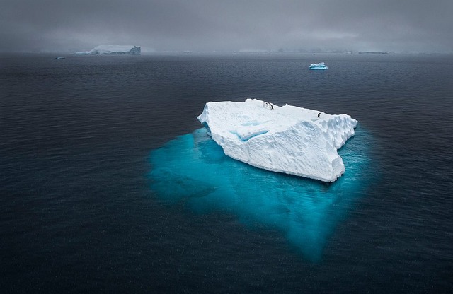 38. Пингвины на айсберге в Антарктиде. Автор - Joshua Holko.