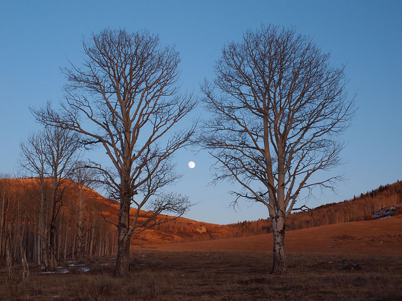 24. Восход Луны в Колорадо. США.  Автор - SamanthaLyn Samuelson.