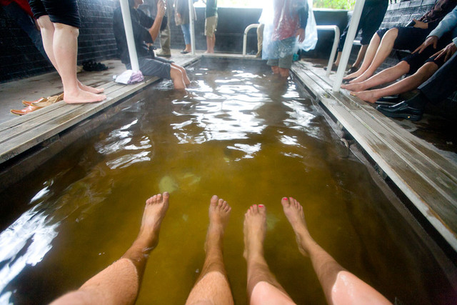 Термальный бассейн. Роторуа, Новая Зеландия.