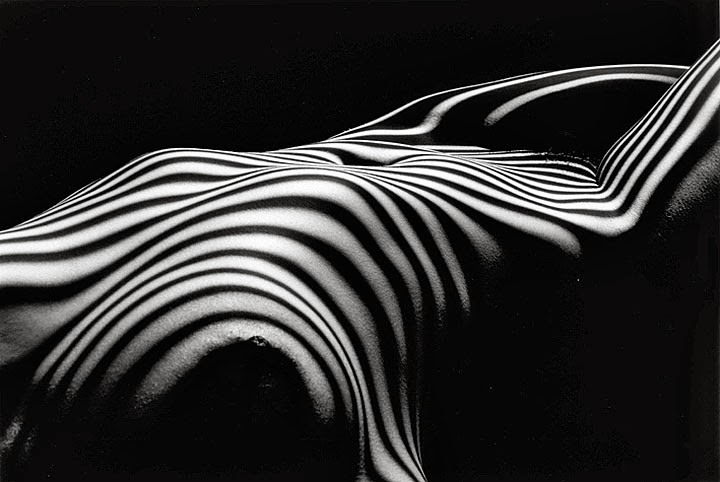 Lucien Clergue «Обнаженные зебры»