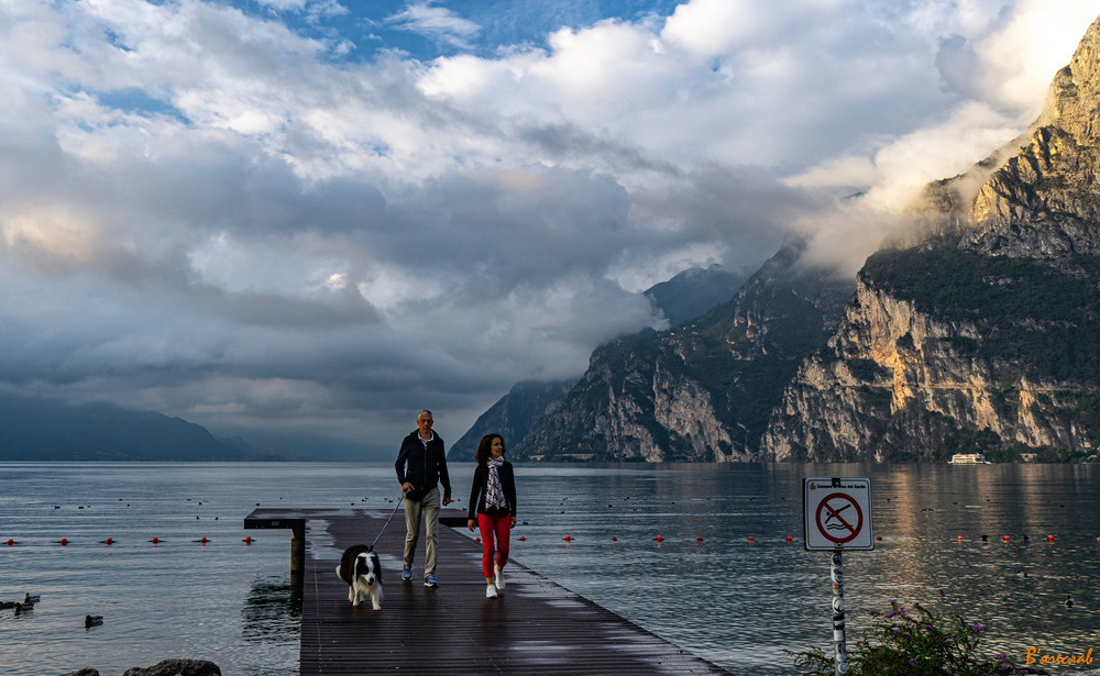 ранкова прогулянка, КомоАвтор: Вячеслав