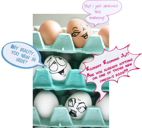 Удивительная жизнь яиц от Vanessa Dualib