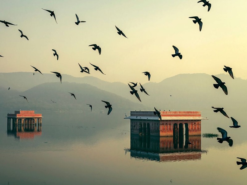 3 Взлетевшие голуби. Джал-Махал, Джаипур, Индия. Автор - Mahesh Balasubramanian.