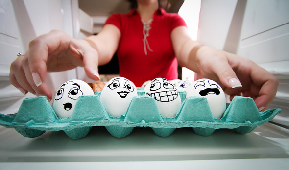 Удивительная жизнь яиц от Vanessa Dualib