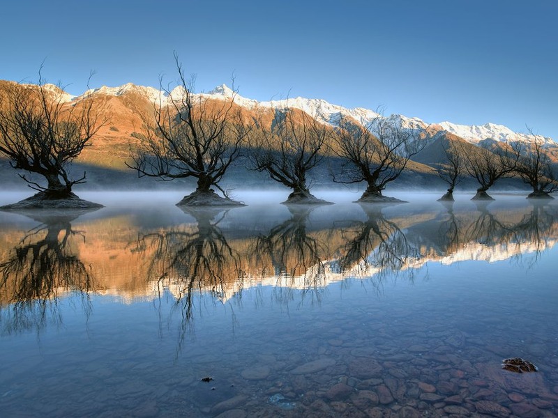 11 Деревья у озера Вакатипу на Южном острове Новой Зеландии. Автор - Brad Grove.