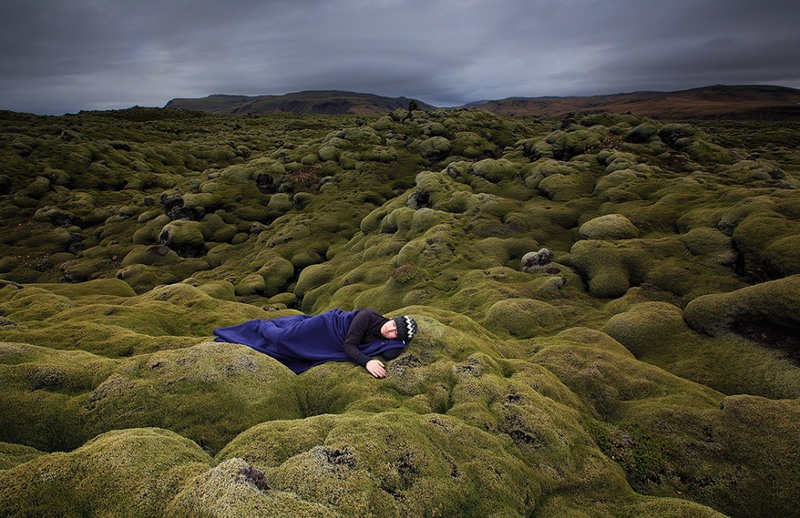 1  Исландский мох. Автор - Iurie Belegurschi.